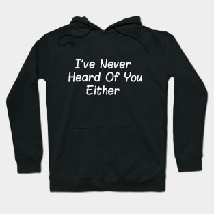 I've Never Heard of You Either (Clean) Hoodie